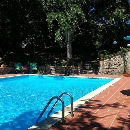 Villa La Nussa Capolona Kültér fotó