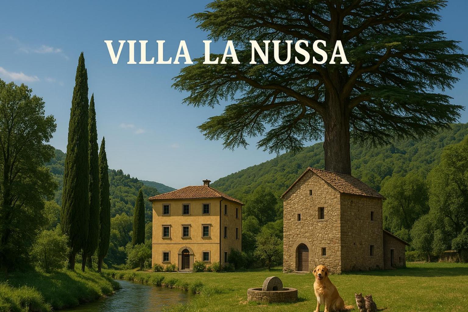Villa La Nussa Capolona Kültér fotó